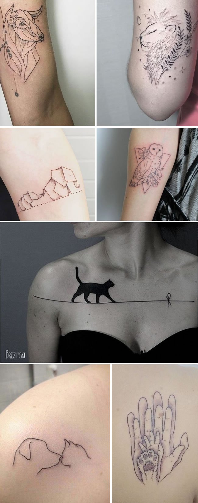 Tatuagens traços finos de animais e pets.